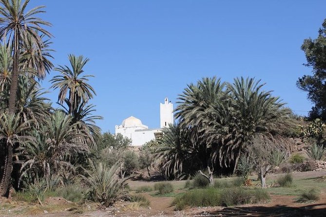 Visit the Oasis & Tea at the Basketmaker. - Refreshments Offered