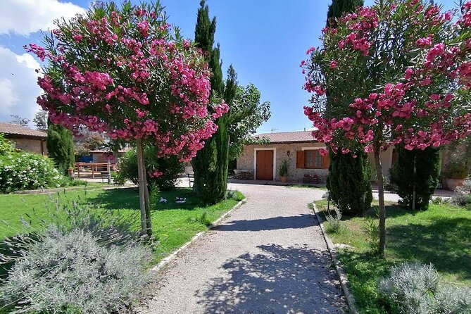 Visit to the Vivinatura and Wine Tasting Farm in Pompeii - Additional Information and Accessibility
