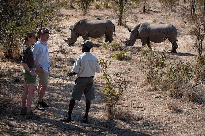 Walking Safari - Tour Details
