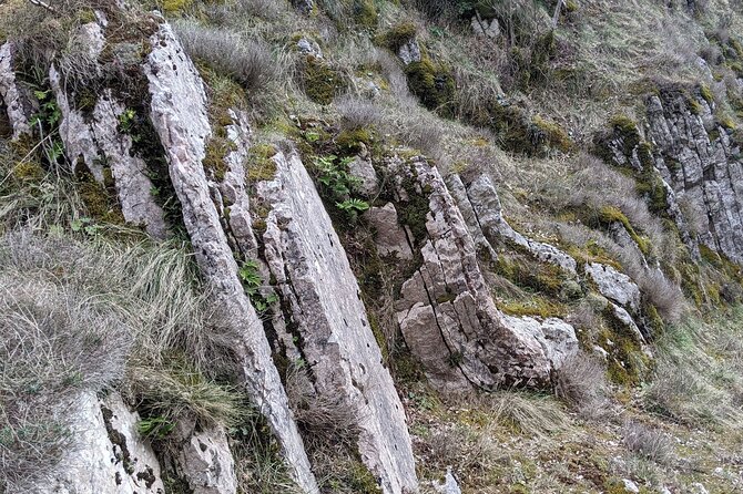 Walking Tour to the Forgotten Railway in Italy - Operator Information