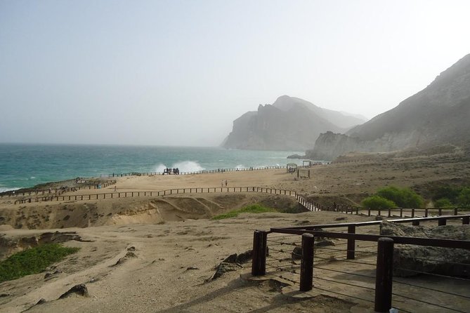 West Salalah 4 Hours Mughsail, Fazayah White Beach Safari Camels - Tour Highlights