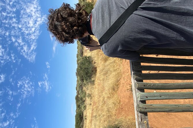 Windhoek Carnivore Experience Feeding Half Day Tour - Cancellation Policy