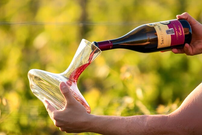 Wine Degustation in the Heart of Slovenian Istria