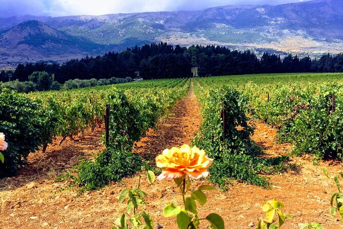 Wine Tasting and Culture - Cultural Impact of Winemaking