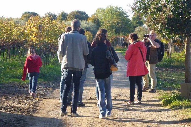 Wine Tasting and Guided Visit to the Vineyard and Cellar in S. Maria Imbaro - Meeting Point and Start Time