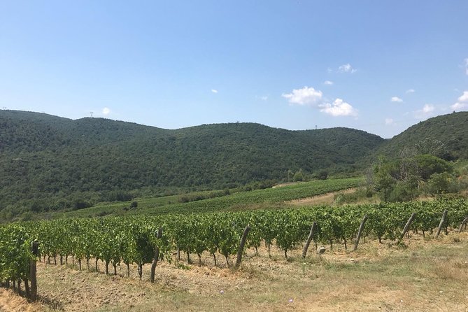 Wine Tasting in Chianti and San Gimignano - Tour Highlights