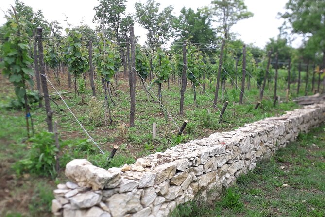 Wine Tour From Kutaisi - Transportation Details