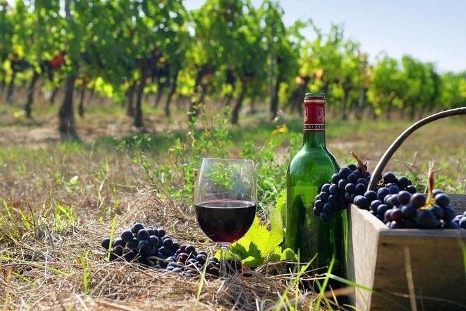 Wine Tour in Azerbaijan - Tour Details