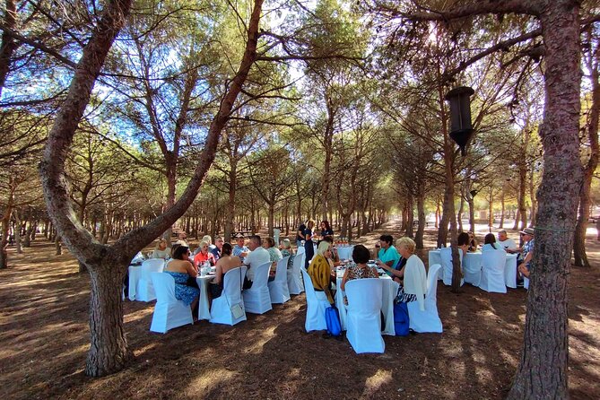 Wine Tour With Tasting in the Natural Park of La Mata