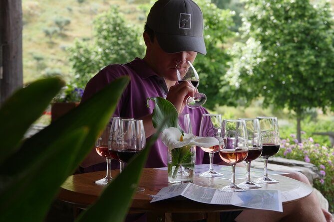 Winery Tour and Tasting in Douro Valley