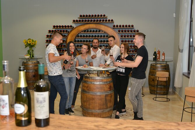 Winery Tour and Tasting of 7 Wines in Yalovo