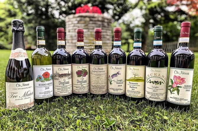 Winery Tour With Wine and Food Tasting in Langhe