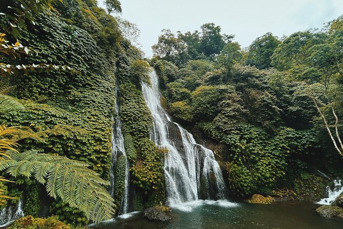 Wonderful Bali Waterfalls Tour Private and All Inclusive - Tour Inclusions