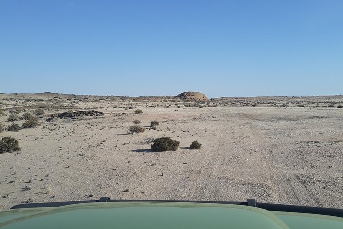 Wonderful Welwitschia Goanikontes Moonlandscape Tour