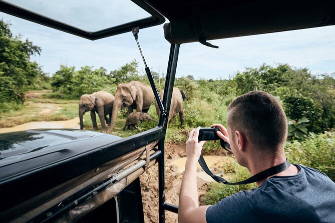 Yala National Park Wildlife Safari/ Game Drive – by Ajith Safari