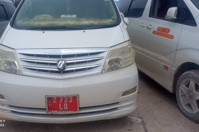 Zanzibar Island Private Taxi Airport and Hotel Transfer - Service Details