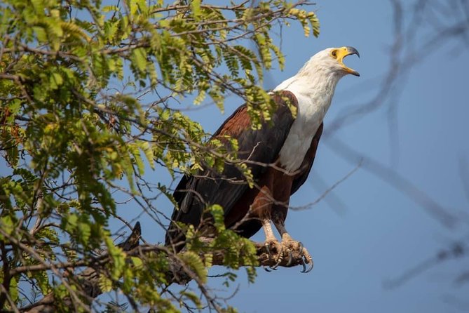 3 Day 2 Night Mikumi National Park + Masai Culture - Good To Know