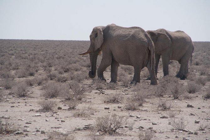 3 Day Etosha (Accommodated) Self Drive Tour - Inclusions and Exclusions