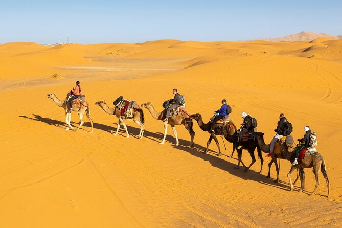 3 Day Journey in a Desert Splendors of Fes to Marrakech - Good To Know