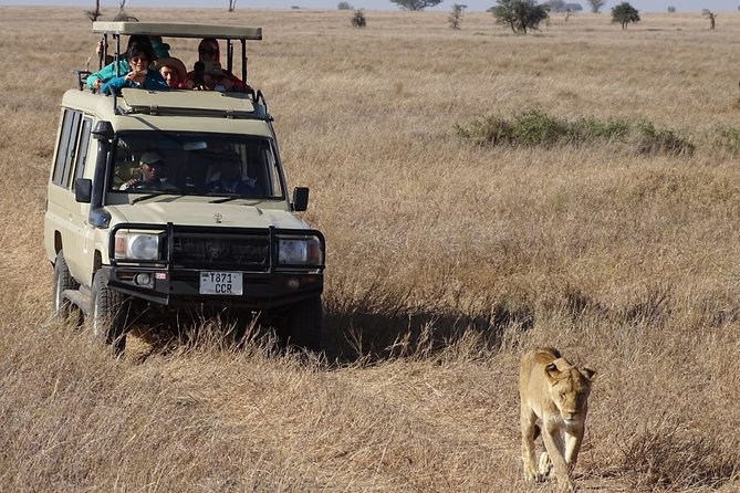 3-Day Maasai Mara Small Group Safari in a 4 X4 Land Cruiser Jeep - Good To Know