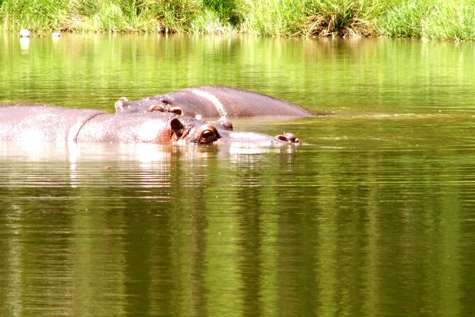 3-Day Private Safari of Mikumi Park and Udzungwa Mountain - Good To Know