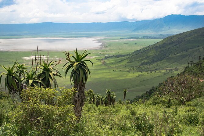 3 Day Safari Tour in Tarangire Ngorongoro Crater and Lake Manyara - Booking and Cancellation Policy