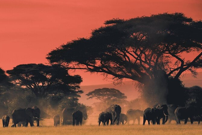 3-Day Serengeti & Ngorongoro Private Tour - Inclusions
