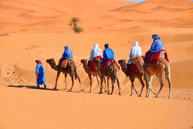 3-Day Tour From Marrakech to Merzouga Desert - Good To Know