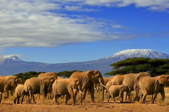 3 Days, 2 Night Amboseli Safari - Good To Know