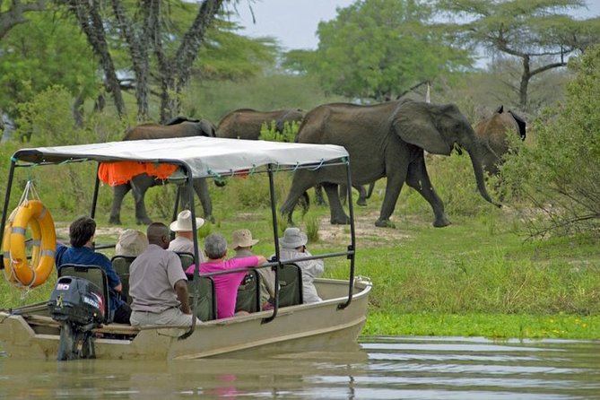 3 Days 2 Nights Nyerere National Park Lodge Wildlife Safari - Good To Know