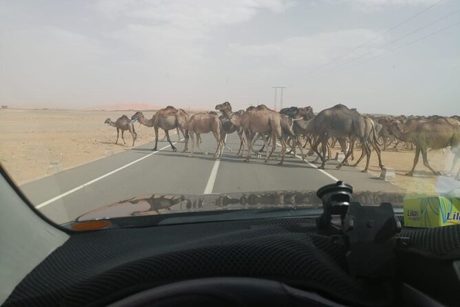 3 Days 2nights Desert Trip to Fez From Marrakech - Inclusions