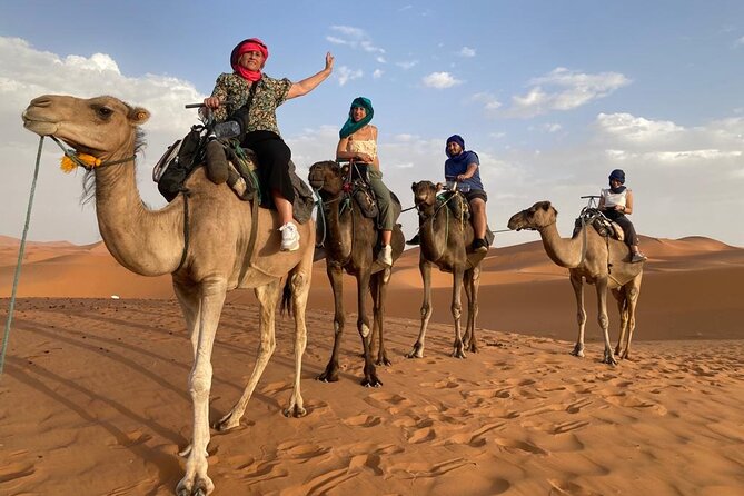 3 Days and 2 Nights Excursion From Fez to Sahara Désert - Good To Know