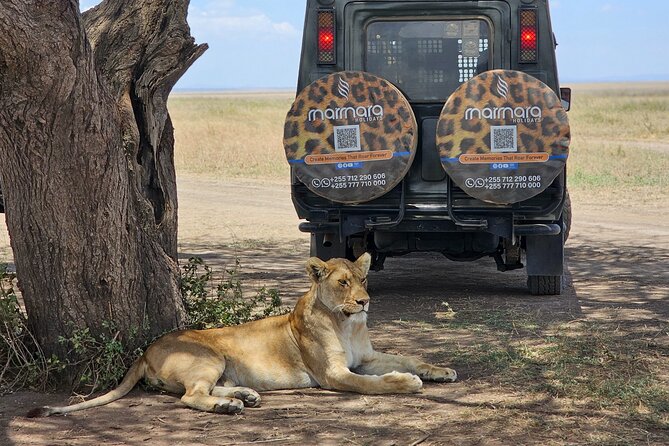 3 Days and 2 Nights Safari to Serengeti National Park - Good To Know
