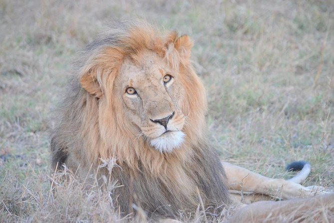 3 Days Masai Mara Camping - Accommodation Details