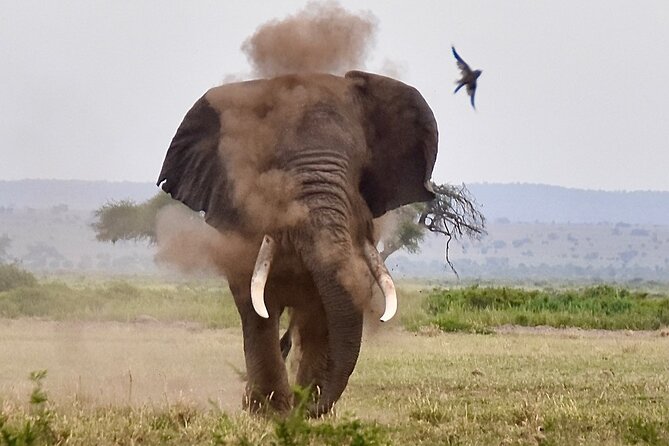 3 Days Masai Mara Luxury Safari - Cancellation Policy