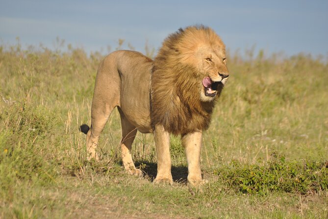 3 Days Masai Mara Safari - Good To Know