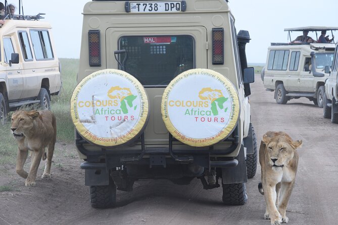 3 Days Only in Serengeti National Park - Good To Know