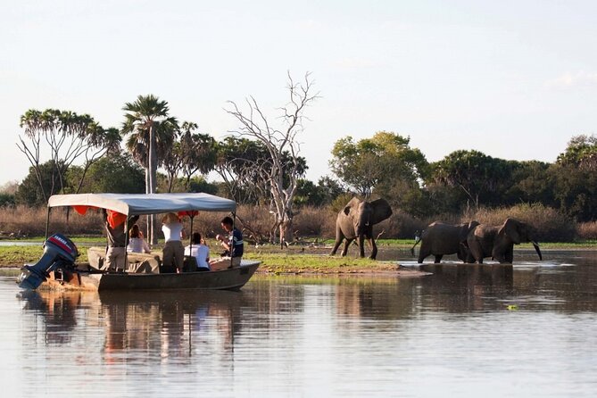 3-Days Private Nyerere NP Game Drive and Boat Safari Tour - Good To Know