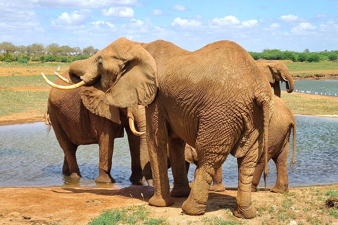 3 Days Private Safari Tsavo East and West Tour - Good To Know