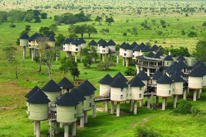 3 Days Tsavo East + Taita Hills/Saltlick Lodge From Malindi - Good To Know