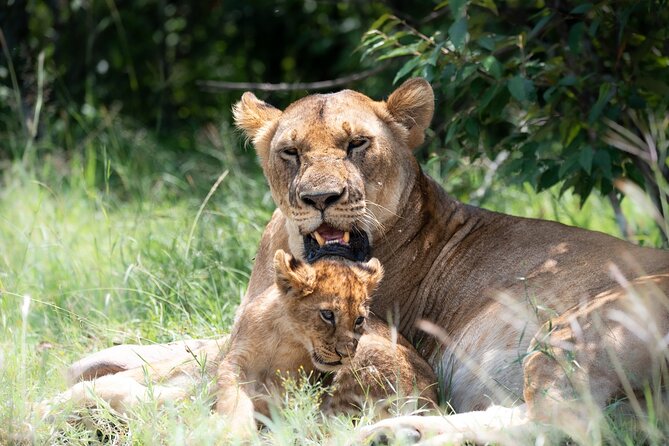 3 Days Tsavo East & Tsavo West Safari - Good To Know