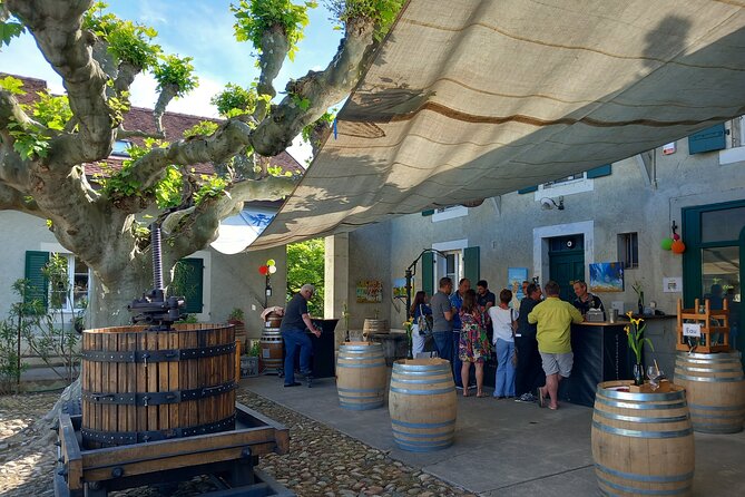 3 Hour Private Tour Countryside Vineyards With Local Wine Tasting - Tour Overview