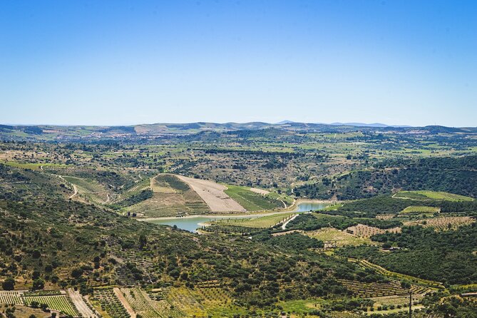 3-Hour Private Wine Tasting in Quinta Da Vineadouro With Lunch - Experience Details