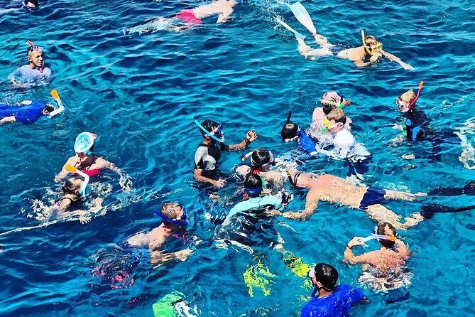 3 Hour Snorkeling and Dolphin Watching Experience in Muscat - Good To Know