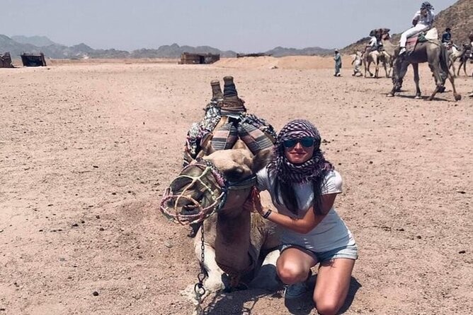 3 Hours Quad Journey And Camel Riding in Marsa Alam - Good To Know