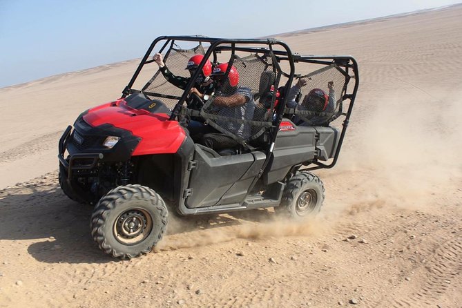 3 Hours Safari by Buggy Car & Camel Ride With Transfer - Marsa Alam - Good To Know
