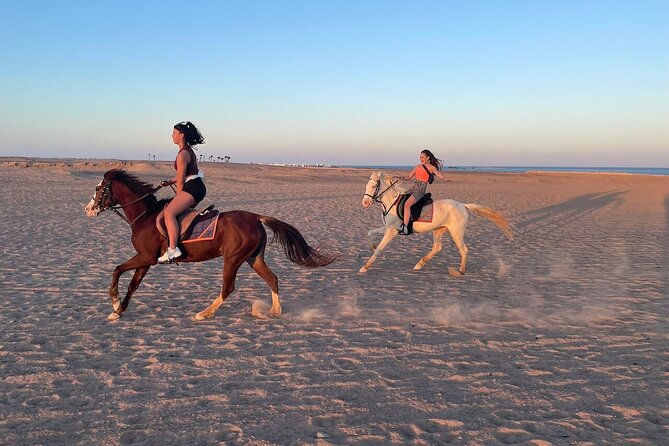 3 Hours Sea Horse Riding Adventure With Swimming in Hurghada - Good To Know