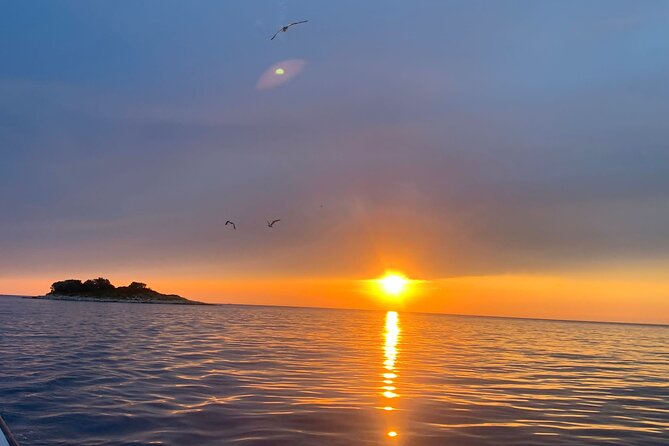 3 Hours Shared Sunset and Dolphin Safari in Fažana - Good To Know