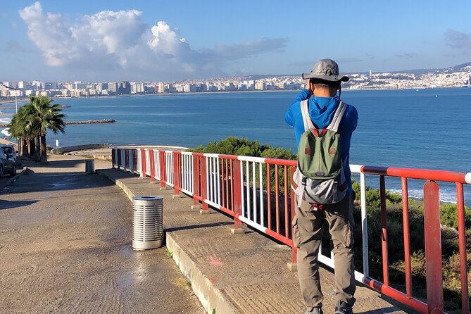 3 Hours Tangier Walking Tour in Old Medina,Kasbah & Berber Market - Meeting Point and Logistics
