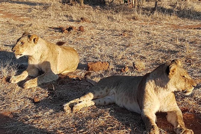 3 Nights Victoria Falls , Chobe Safari and Hwange National Park Safari - Good To Know